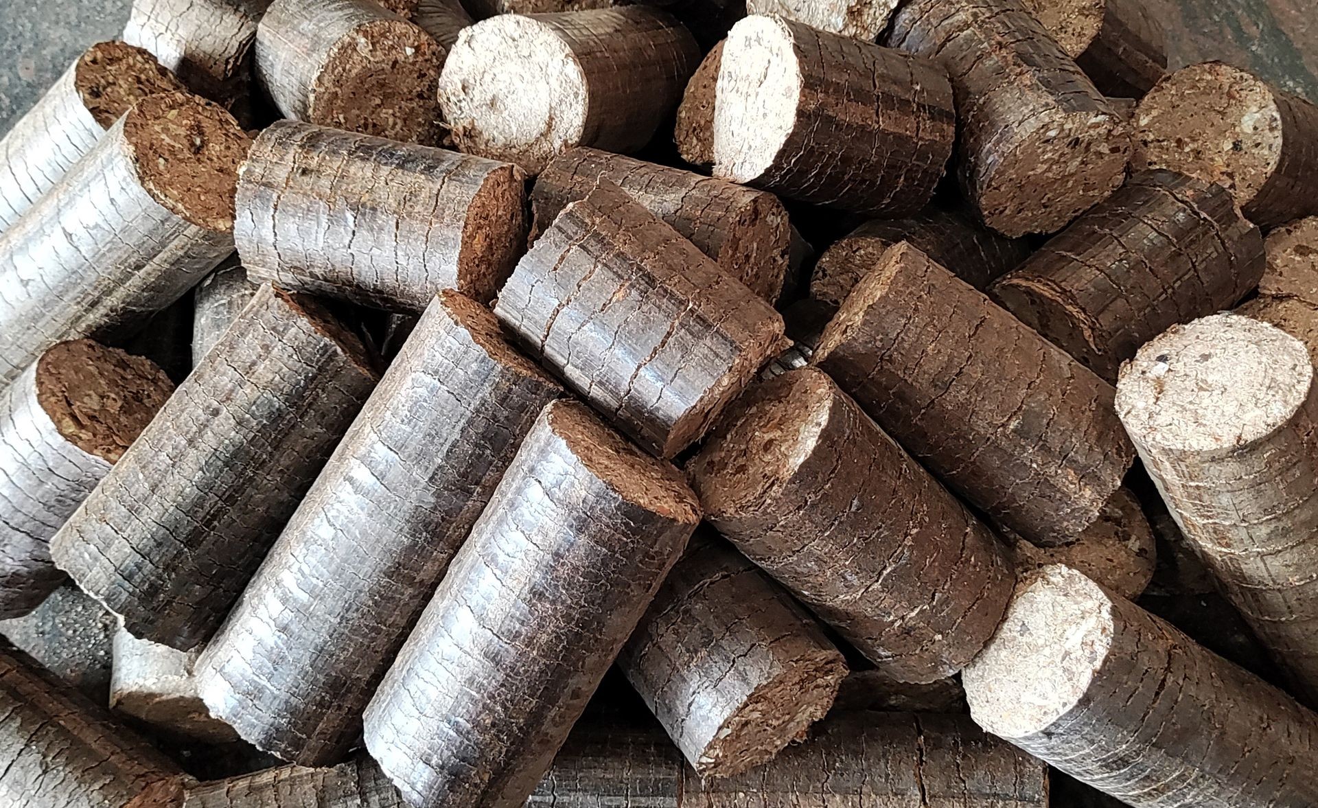 Biomass - Briquettes